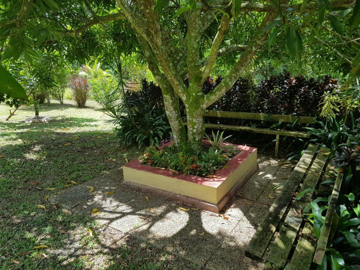 Domaine De Valcine Villa Sainte-Rose Ngoại thất bức ảnh