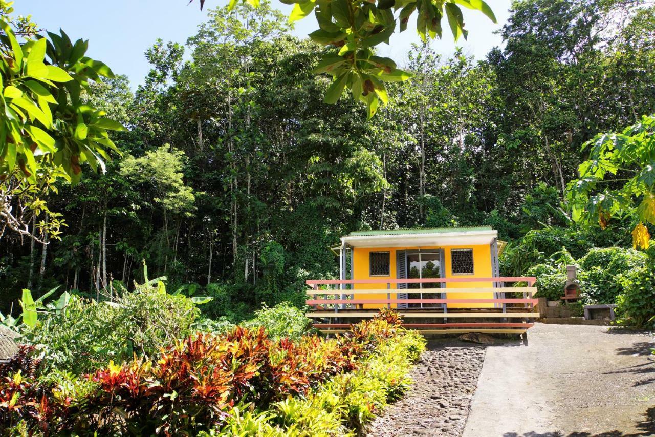 Domaine De Valcine Villa Sainte-Rose Ngoại thất bức ảnh